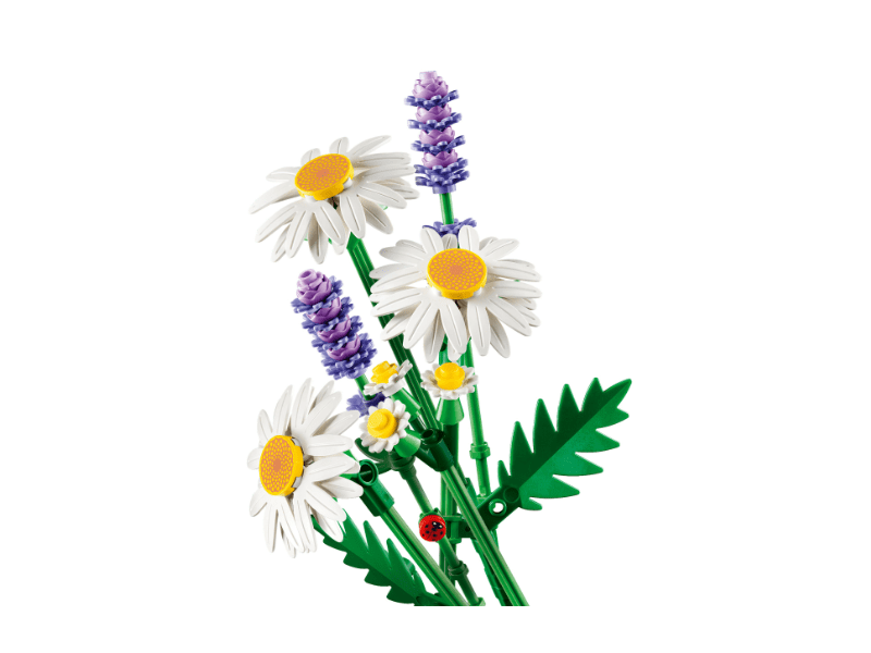 LEGO® Botanicals Százszorszépek (11508)