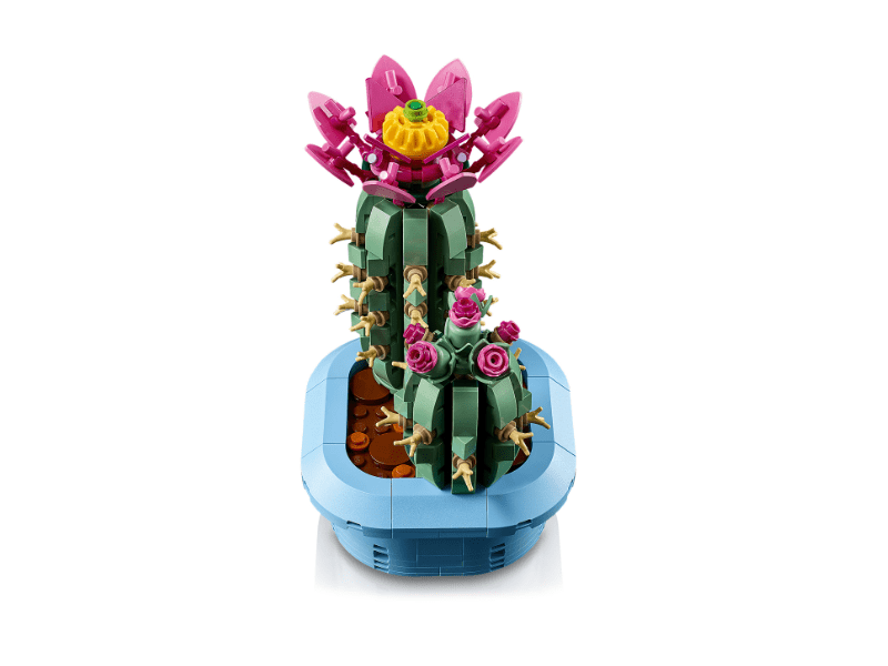 LEGO® Botanicals Virágzó kaktusz (11509)