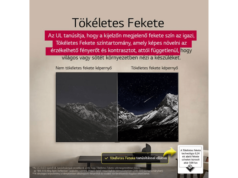 LG OLED evo AI OLED55G53LS 55