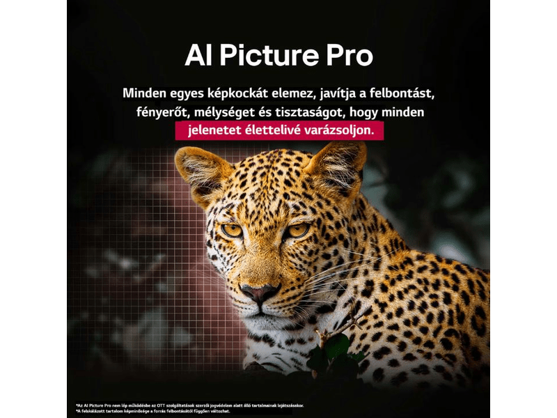 LG OLED AI OLED48B53LA 48