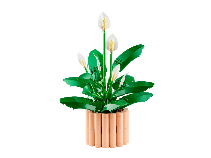 LEGO® Botanicals Vitorlavirág (11504)