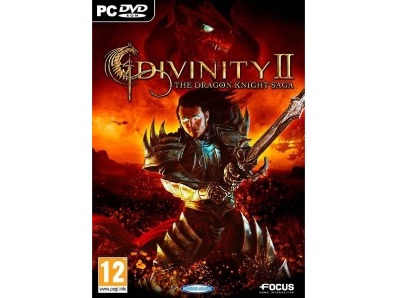 DIVINITY II PC