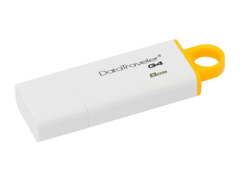 KINGSTON DTIG4/8GB