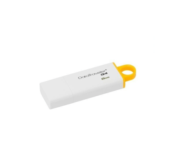 KINGSTON DTIG4/8GB