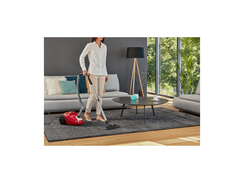 Rowenta RO3953EA Porzsákos porszívó