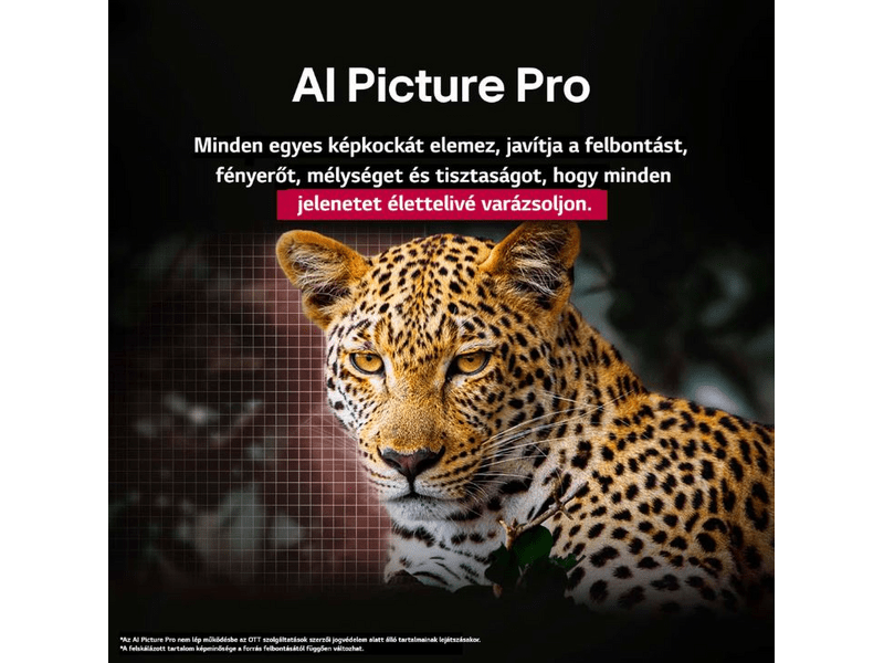 LG OLED evo AI OLED48C51LA 48