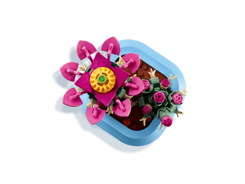 LEGO® Botanicals Virágzó kaktusz (11509)