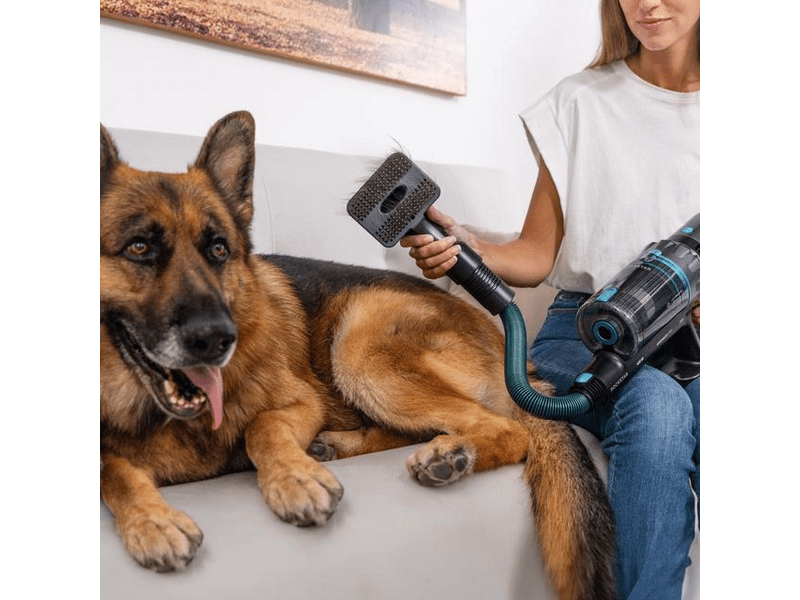 Cecotec Conga Rockstar 2500 Thunder Flex Animal Álló porszívó