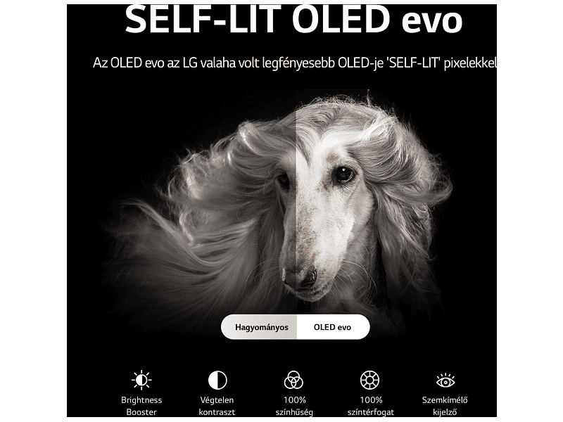 LG OLED83G23LA 83'' (211 cm) Gallery OLED evo 4K Smart TV