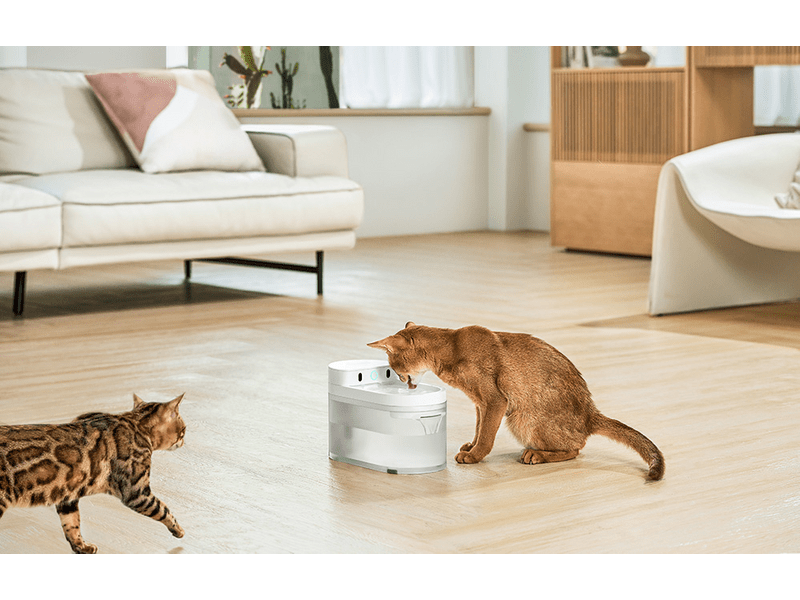 Catlink Pure 3 intelligens itató kutyáknak és macskáknak (CL-WB-01)