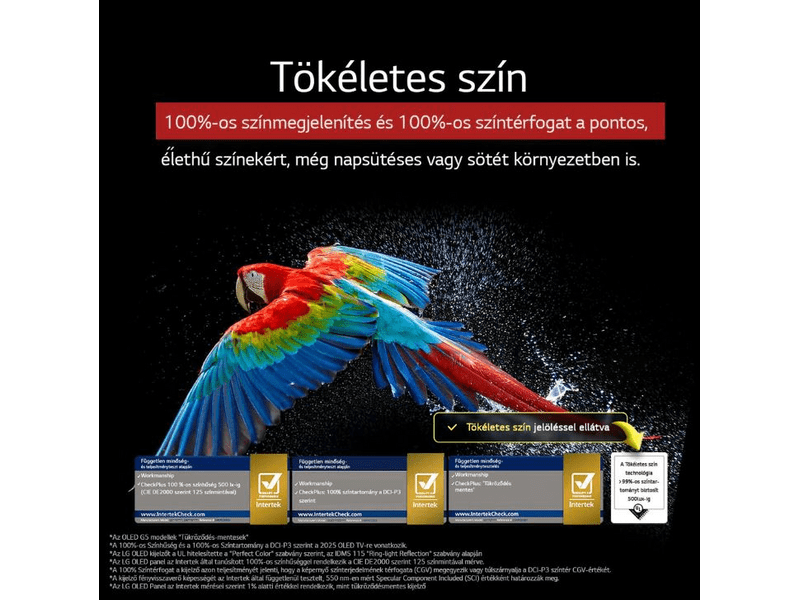 LG OLED evo AI OLED55G51LW 55