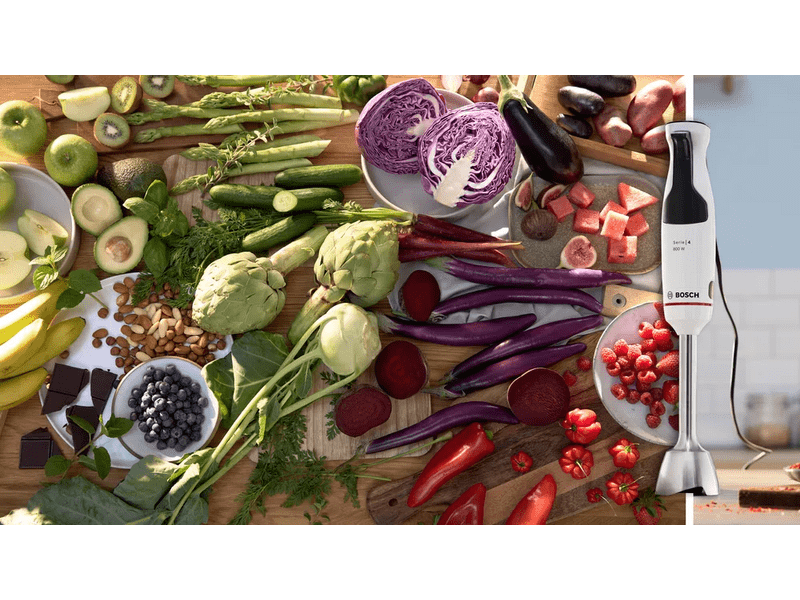 Bosch MSM4W421 ErgoMaster Botmixer