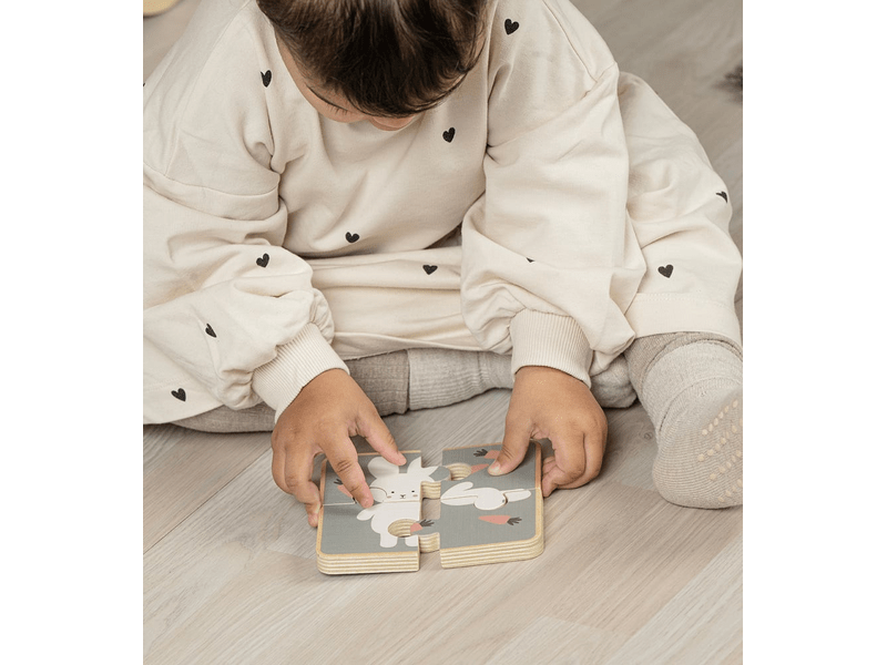 Montessori fejlesztő játékcsomag 18-24 hónapos babáknak (T293)