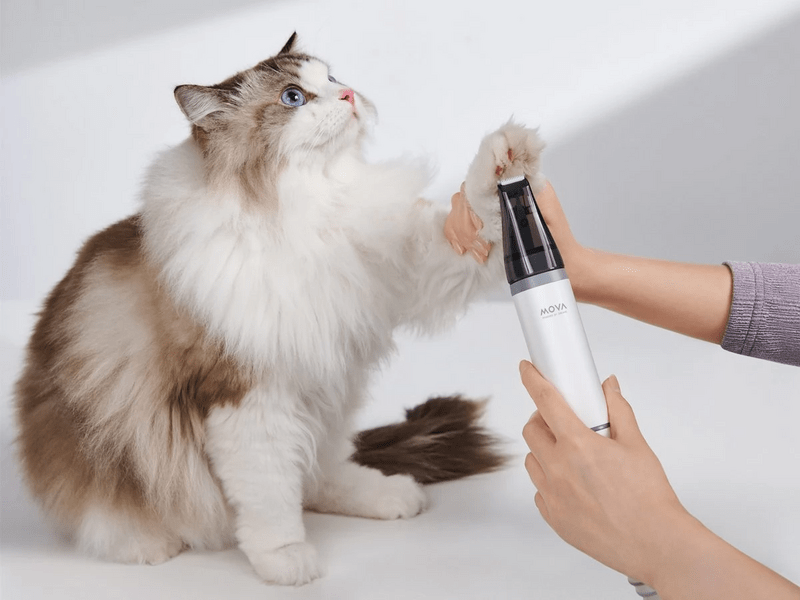 Mova G1 Pro Kisállat ápoló készlet (PHC10A)