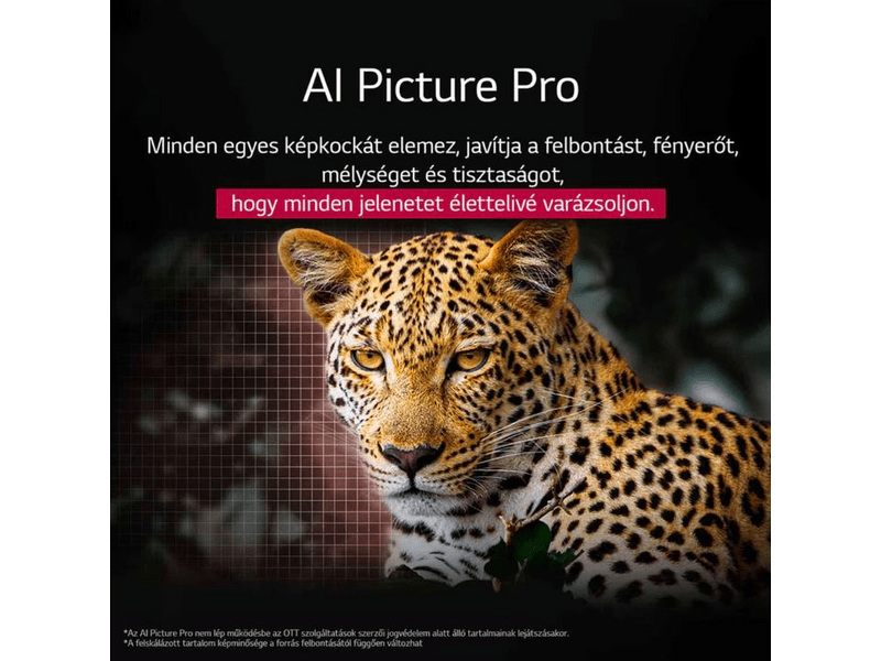 LG OLED evo AI OLED55G53LS 55