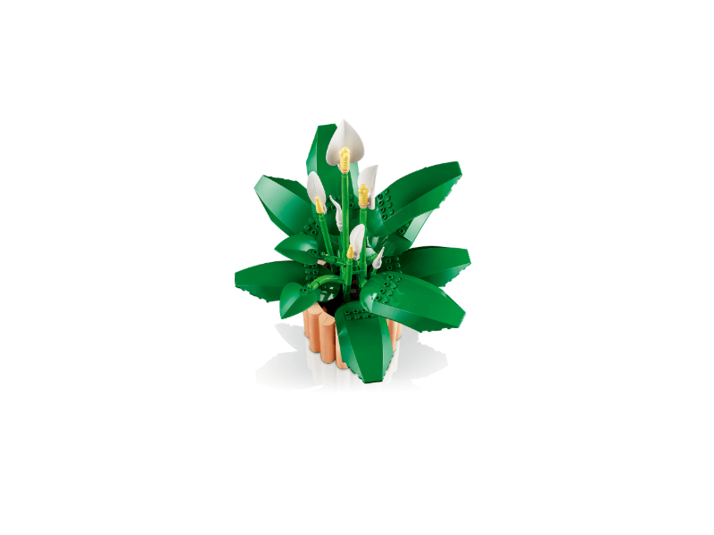 LEGO® Botanicals Vitorlavirág (11504)