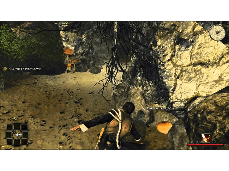 Xbox 360 - Risen 2 Dark Waters