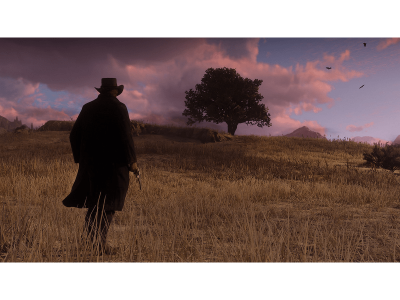 Red Dead Redemption II - PS4 játék