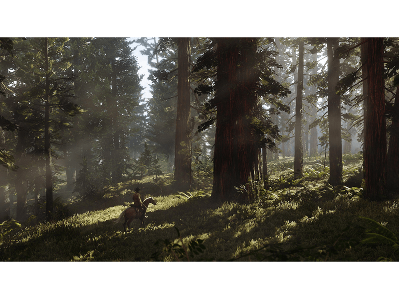 Red Dead Redemption II - PS4 játék