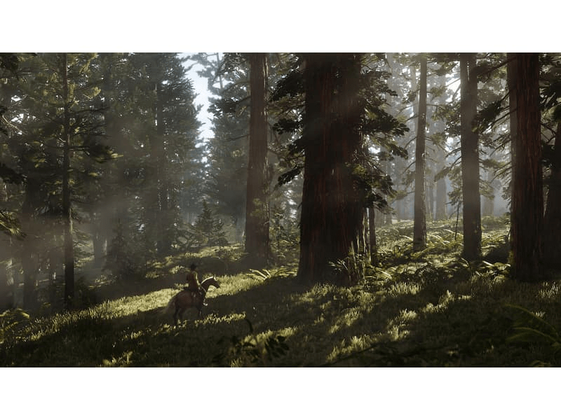 Red Dead Redemption II (XBOX ONE)