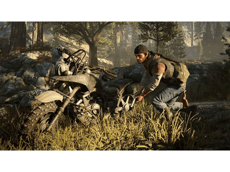 Days Gone - PS4 játék