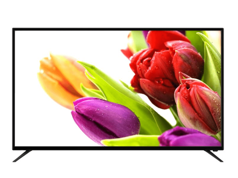 Dyras BL-5019EUDTS 50