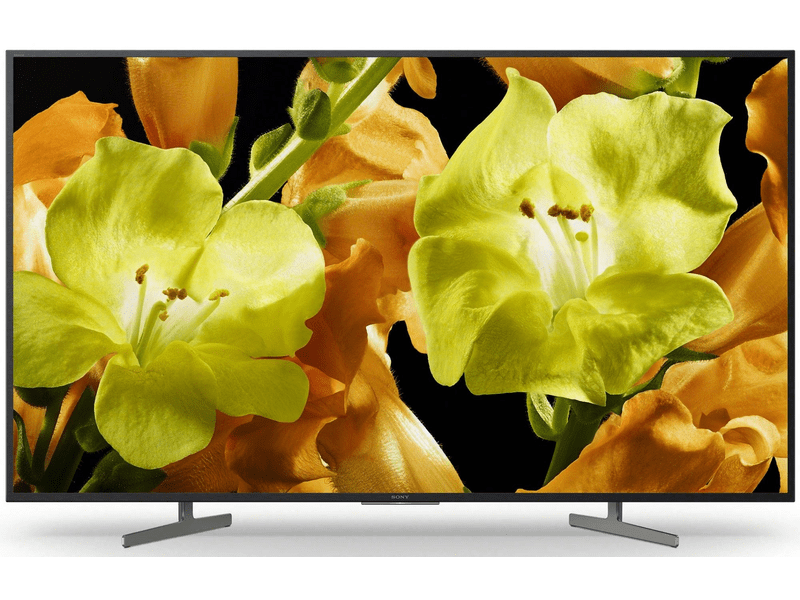 SONY Bravia KD49XG8196BAEP 49