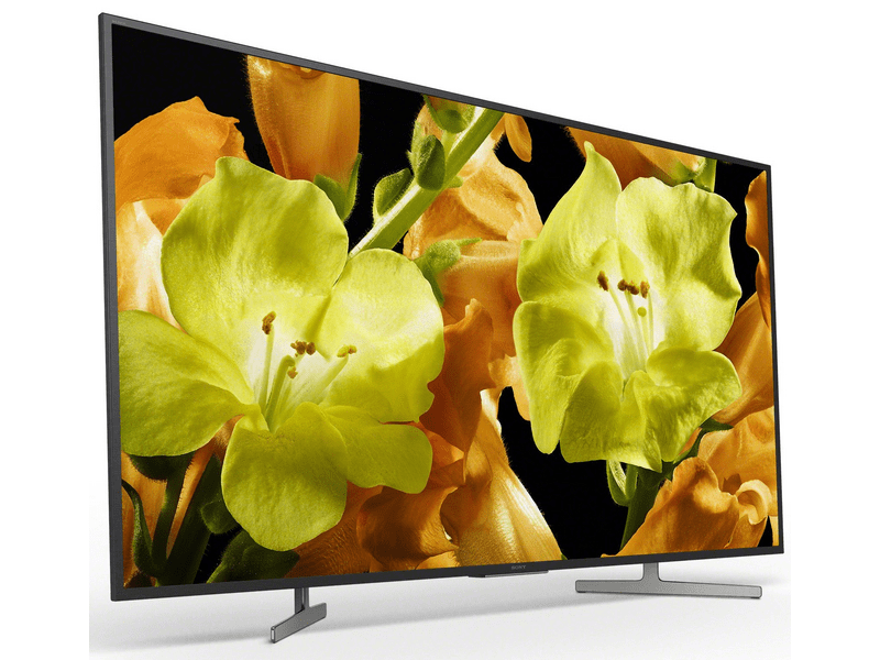 SONY Bravia KD49XG8196BAEP 49