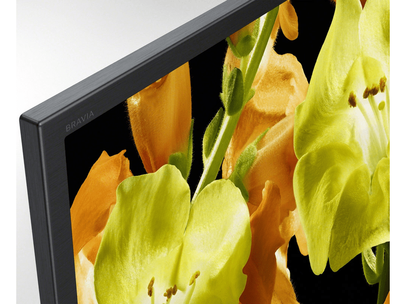 SONY Bravia KD49XG8196BAEP 49