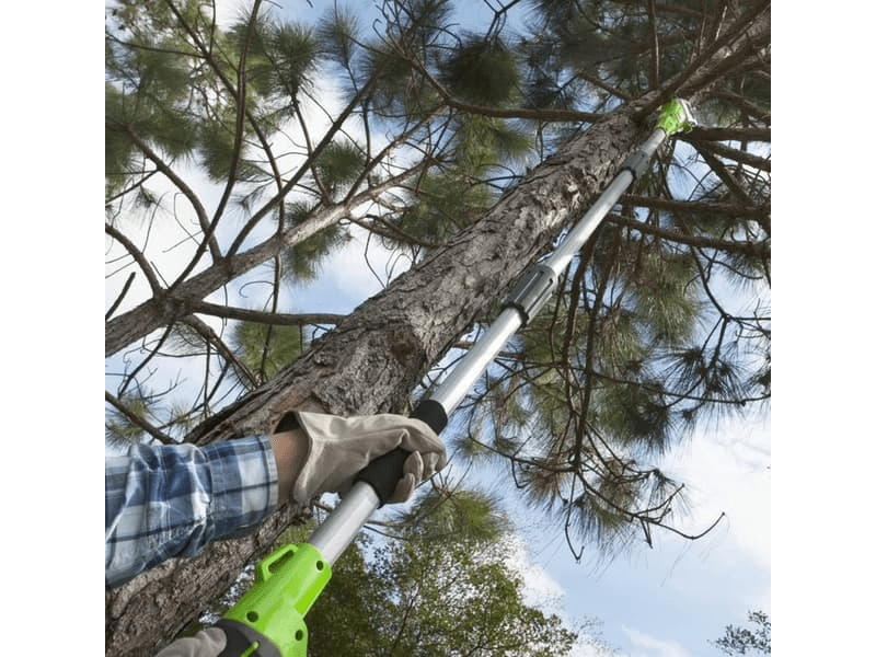 Greenworks G40PSF akumulatorske škare za rezidbu