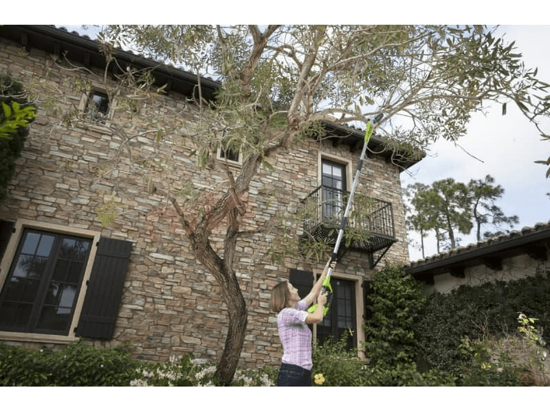 Greenworks G40PSF akumulatorske škare za rezidbu