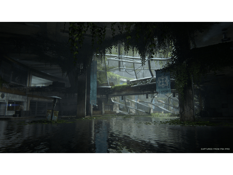 The Last of Us Part II PS4