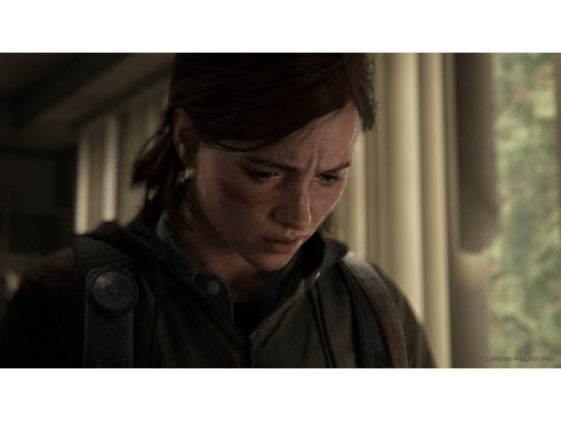 The Last of Us Part II PS4