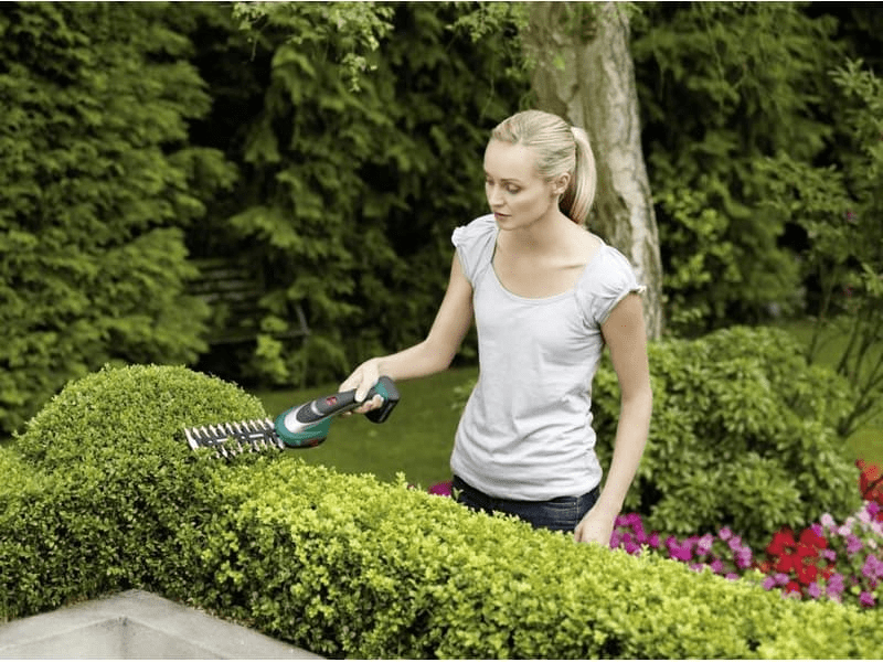 Bosch 0600856301 ASB 10,8 LI fű- és bokorvágó készlet