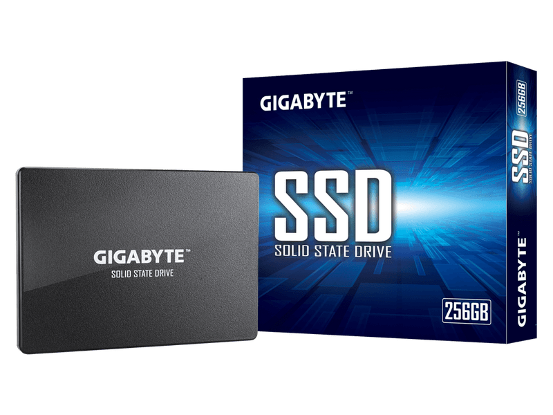 Gigabyte 256GB SSD SATA (GPGSTFS31256GTN)