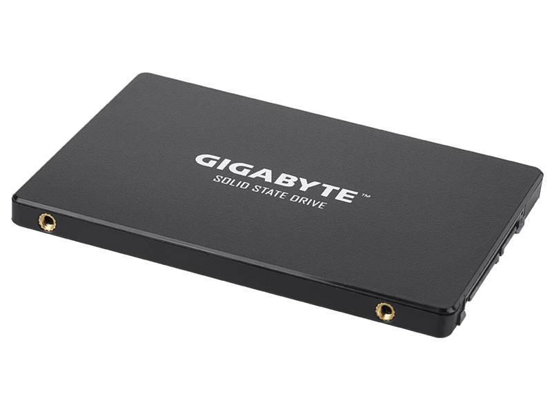 Gigabyte 256GB SSD SATA (GPGSTFS31256GTN)