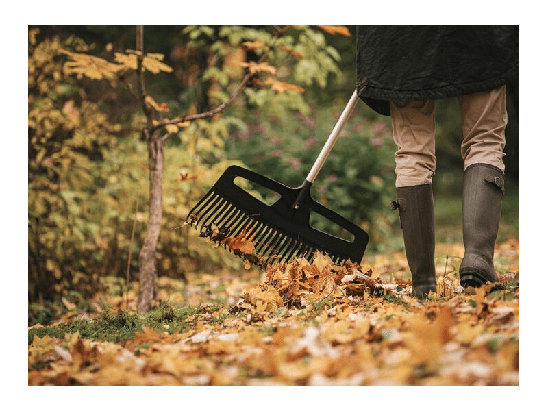 Fiskars 1027036 Xact lombseprű, XXL