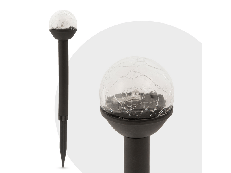 Garden of Eden 11416C