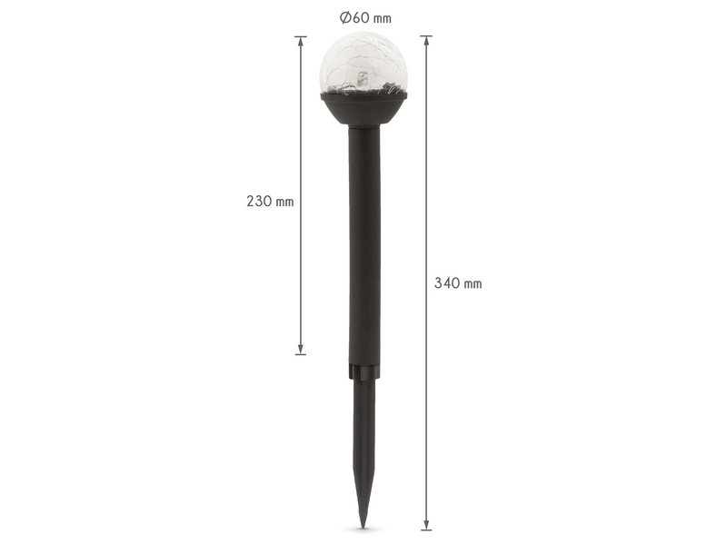 Garden of Eden 11416C