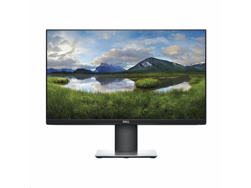 Dell P2421 Monitor 24