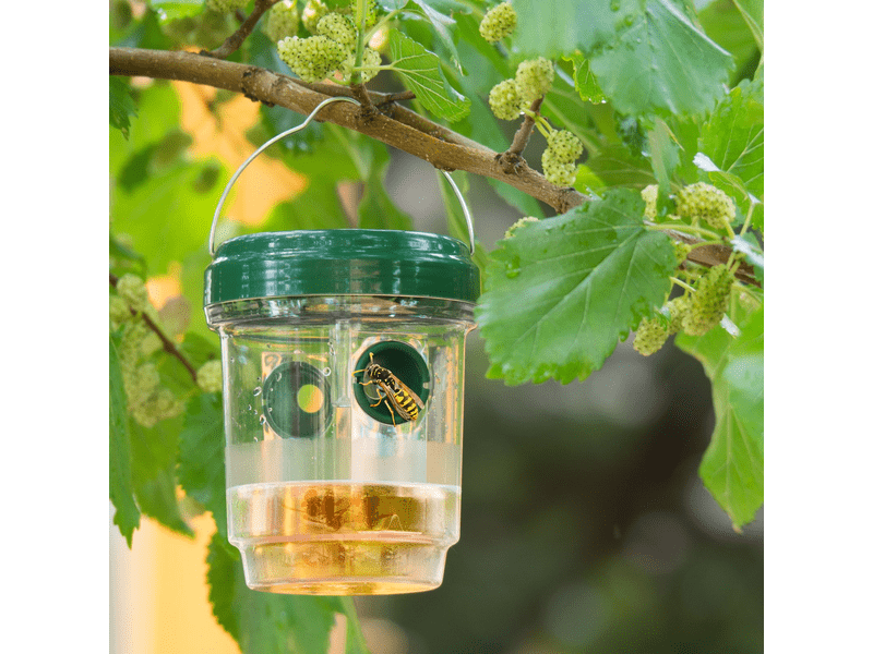 Garden of Eden 11383 Szolár rovarcsapda