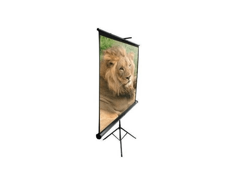 ELITE Screens, mobil állvány 100 (T100UWH)