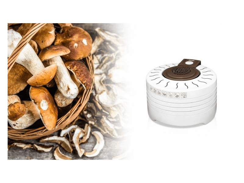 MPM MSG-17 Aszalógép