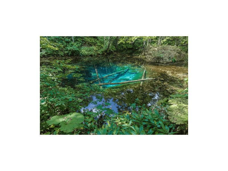 Tamron F050SF 20mm f/2.8 Di lll OSD 1:2 Macro (Sony E) Objektív