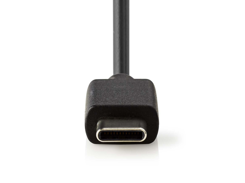 Nedis WCHAC300ABK USB-C Fali töltő