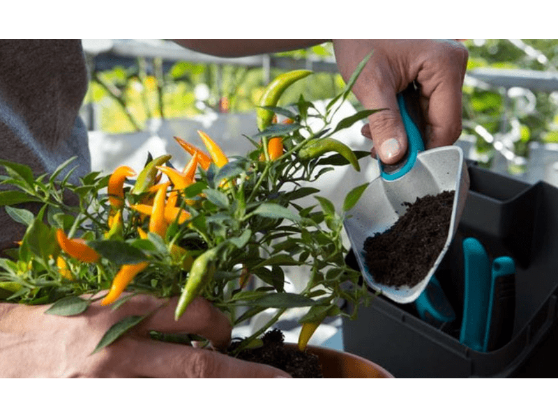 Gardena 8974-20 Set balkonskih žardinjera