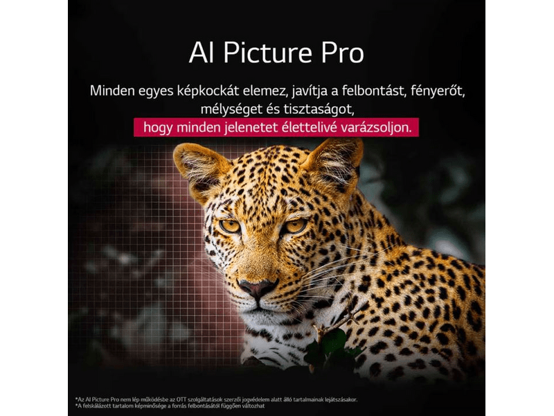 LG OLED evo AI OLED55G51LW 55