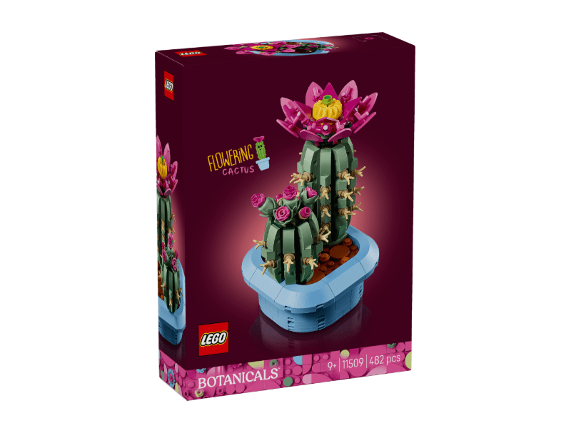 LEGO® Botanicals Virágzó kaktusz (11509)