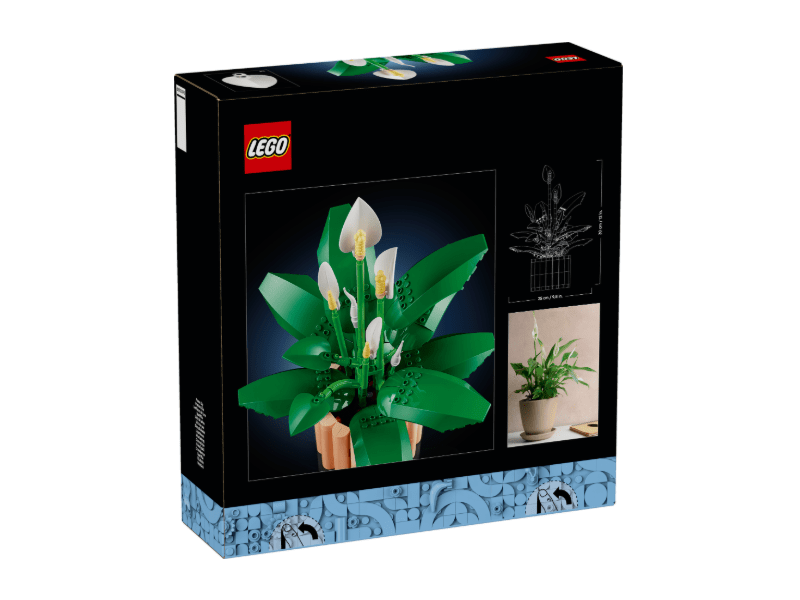 LEGO® Botanicals Vitorlavirág (11504)