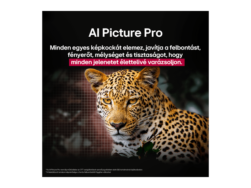 LG OLED evo AI OLED77C51LA 77